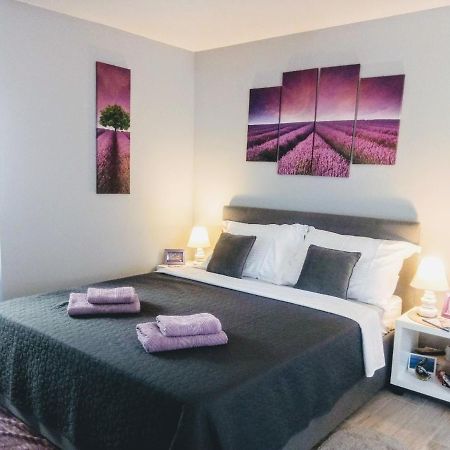 Elly Apartments سبليت المظهر الخارجي الصورة